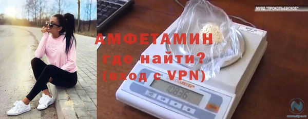 крисы Карталы