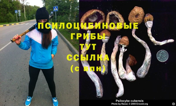 ешки Каменск-Шахтинский