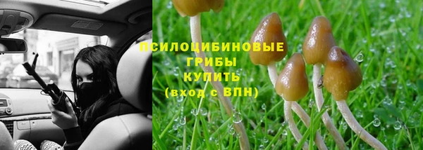 ешки Каменск-Шахтинский